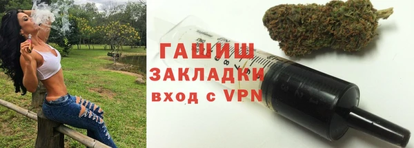 гашик Козловка