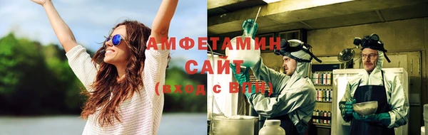 гашик Козловка