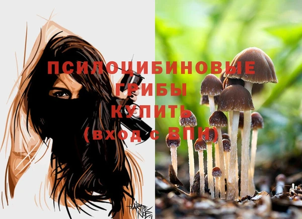винт Козельск