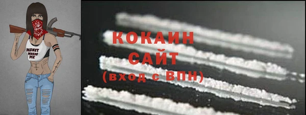 гашик Козловка