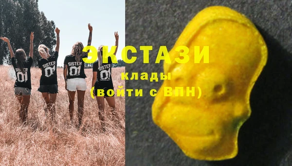 гашик Козловка