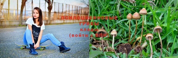 винт Козельск