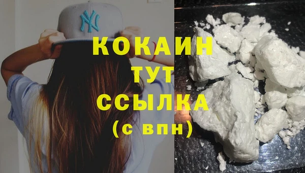 гашик Козловка