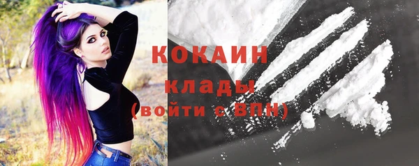 гашик Козловка