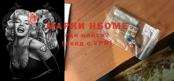 гашик Козловка