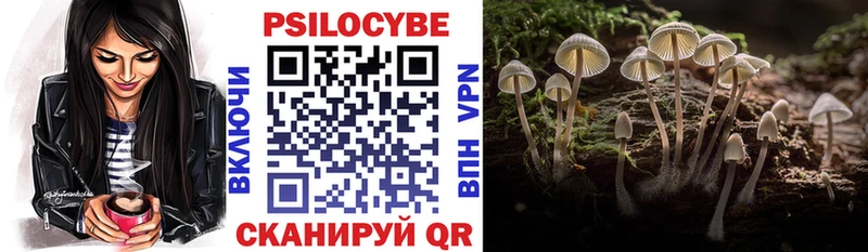 Купить Цимлянск Галлюциногенные грибы Magic Shrooms
